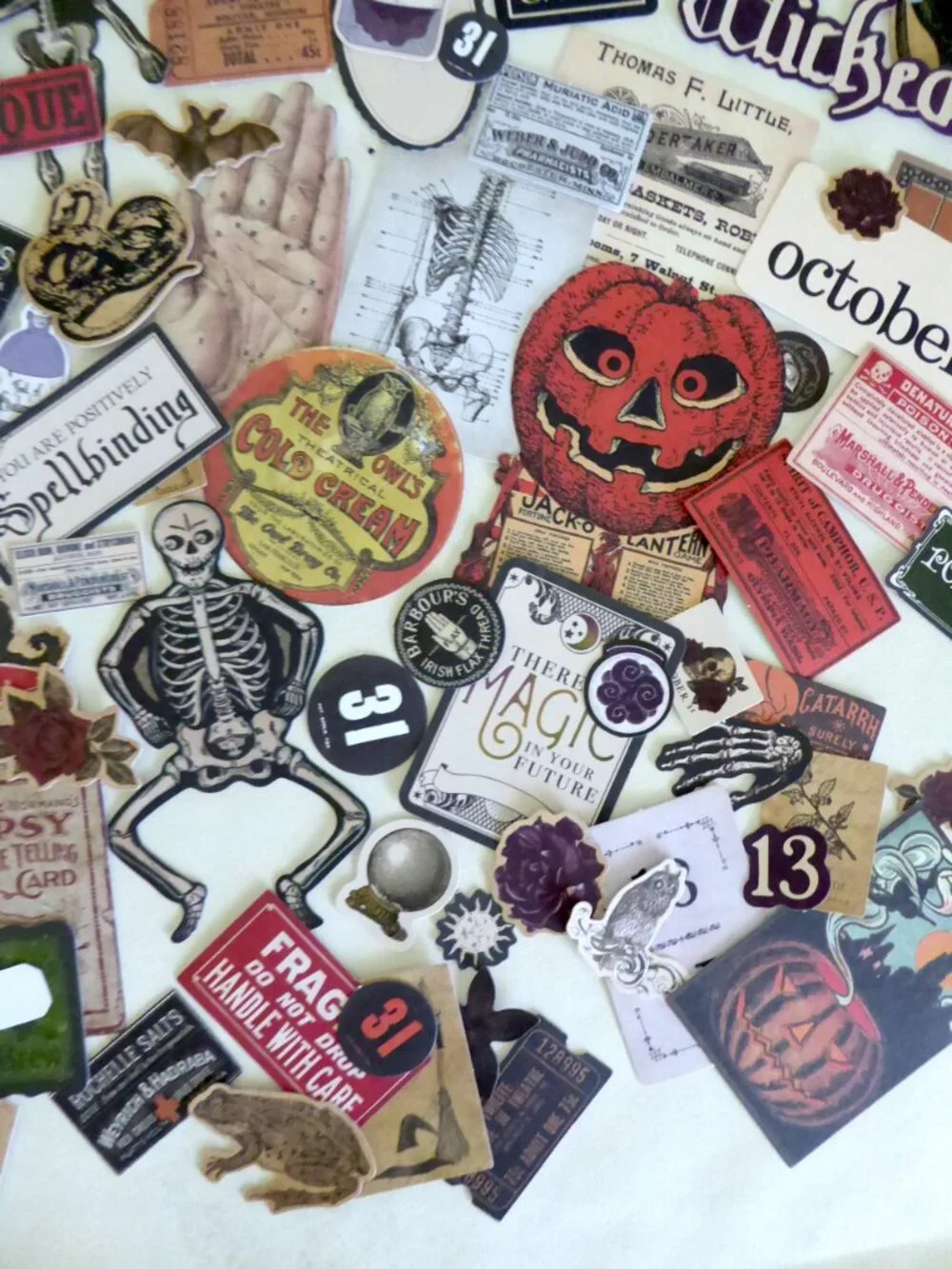 Tim Holtz new never